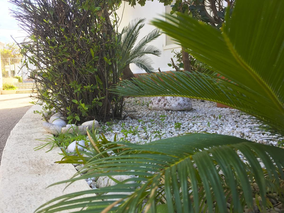 Apartment Anacasa Oasis Ii Marineta Ap2116 Denia
